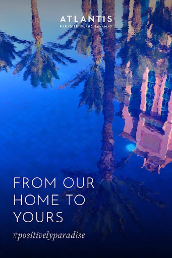 Website design