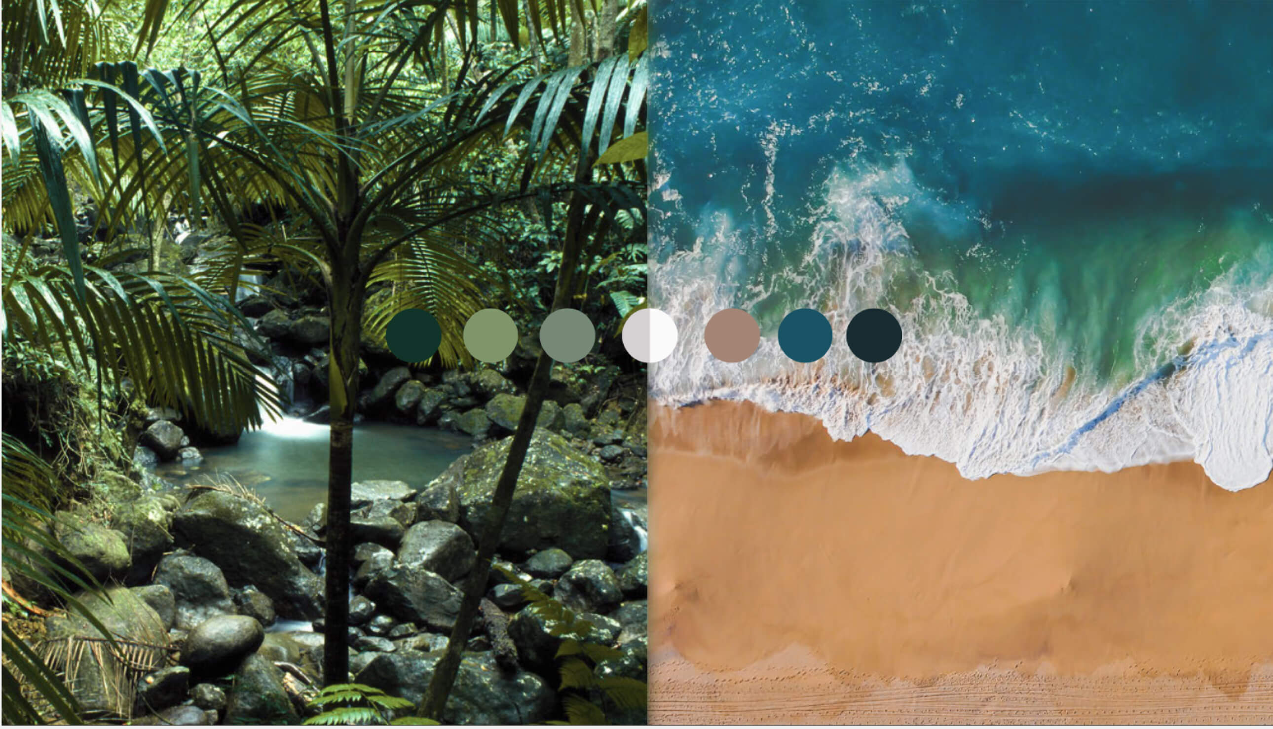 Palette photography