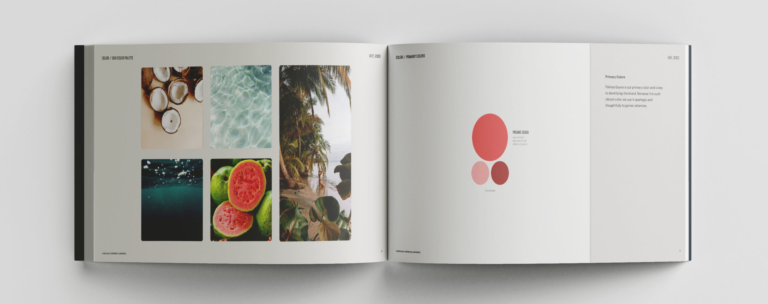 Brand book