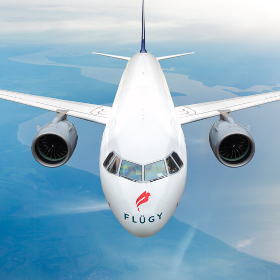 FLügy